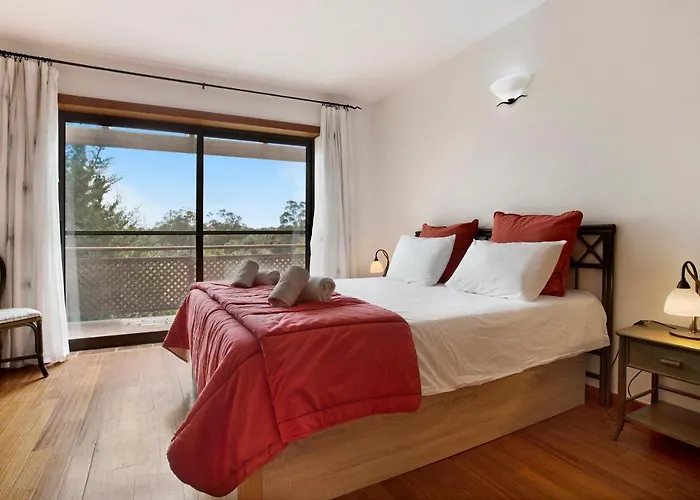 Arrancada 7 Sao Lourenco (Faro)